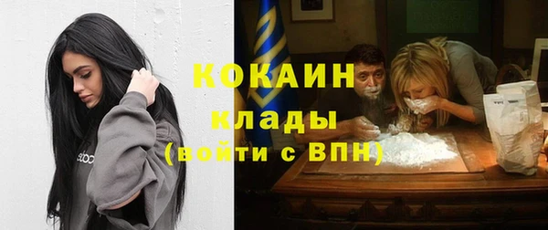 шишки Беломорск