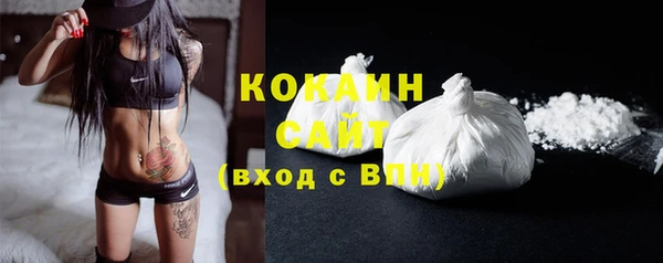 шишки Беломорск
