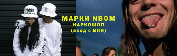 шишки Беломорск