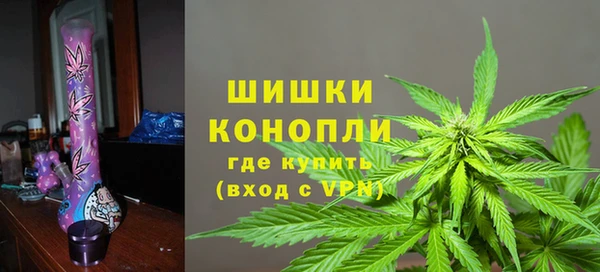 шишки Беломорск